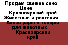 Продам свежее сено › Цена ­ 900 - Красноярский край Животные и растения » Аксесcуары и товары для животных   . Красноярский край